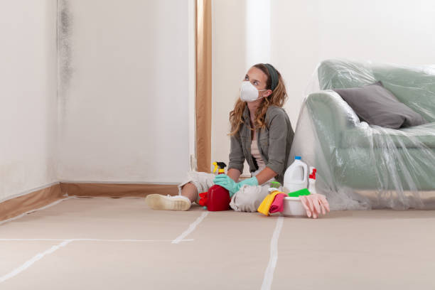 Reliable Mold Cleanup contractor in Bethpage, NY by WQB Mold Removal